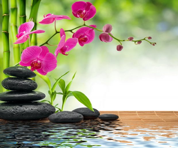 SunRay Yoga Studio | 10 Sunray St #7, Whitby, ON L1N 8Y3, Canada | Phone: (905) 809-9236