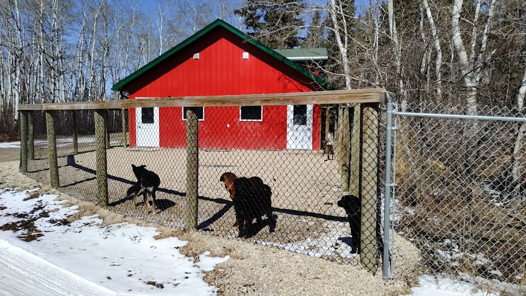 SMART Dogs | 14059 E Komarno Rd, Winnipeg Beach, MB R0C 3B0, Canada | Phone: (204) 793-3575