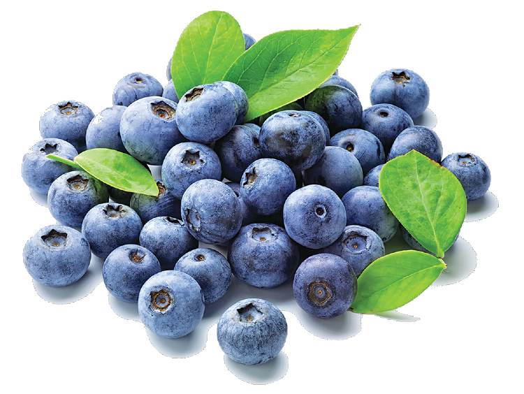 Raiwal Agro Tech Foods Ltd. | 4586 176 St, Surrey, BC V3Z 1C3, Canada | Phone: (604) 576-7508