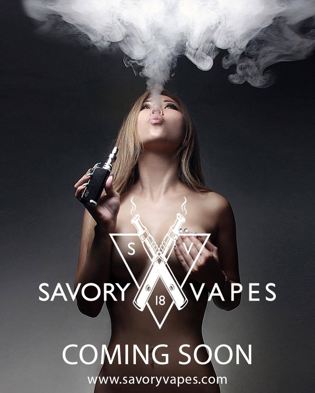 Savory Vapes | 4210 E Hastings St, Burnaby, BC V5C 2J6, Canada | Phone: (604) 291-1221