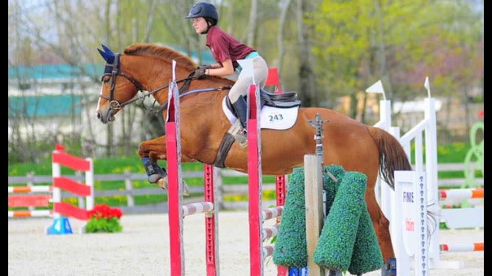 Maple Meadows Equestrian Centre | 13634 Harris Rd, Pitt Meadows, BC V3Y 2T3, Canada | Phone: (604) 816-1400