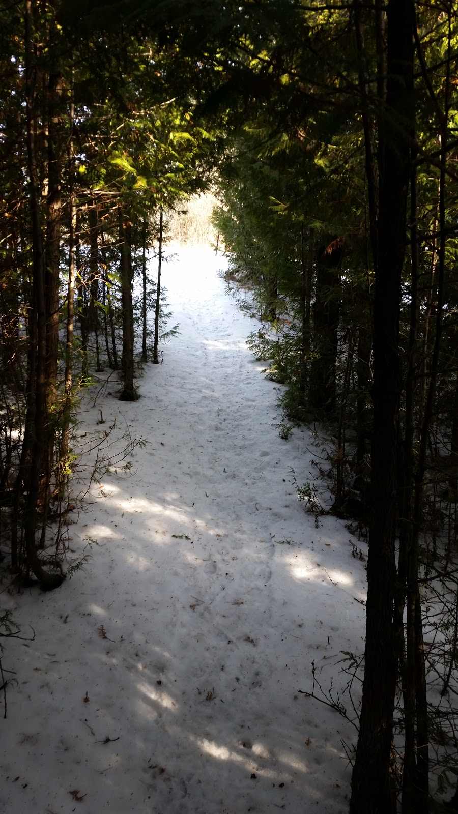 Goodwood Conservation Area | Cedar Valley, ON L0G 1E0, Canada