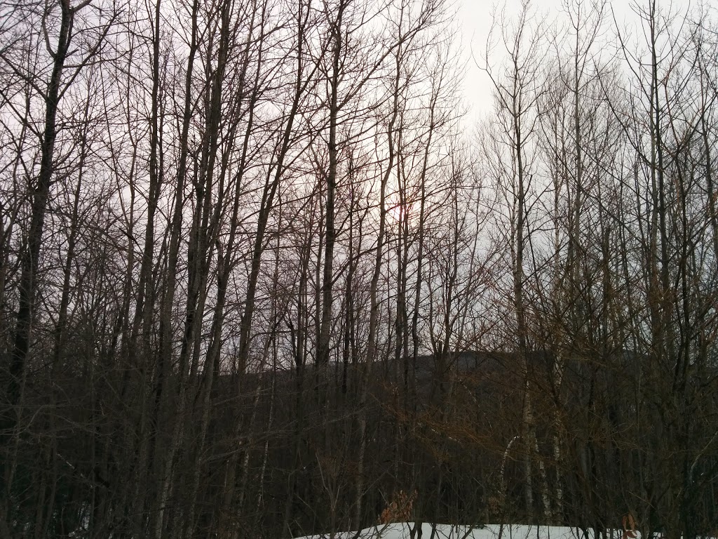 Parcours Missisquoi Nord | Rue du Parc, Saint-Étienne-de-Bolton, QC J0E 2E0, Canada