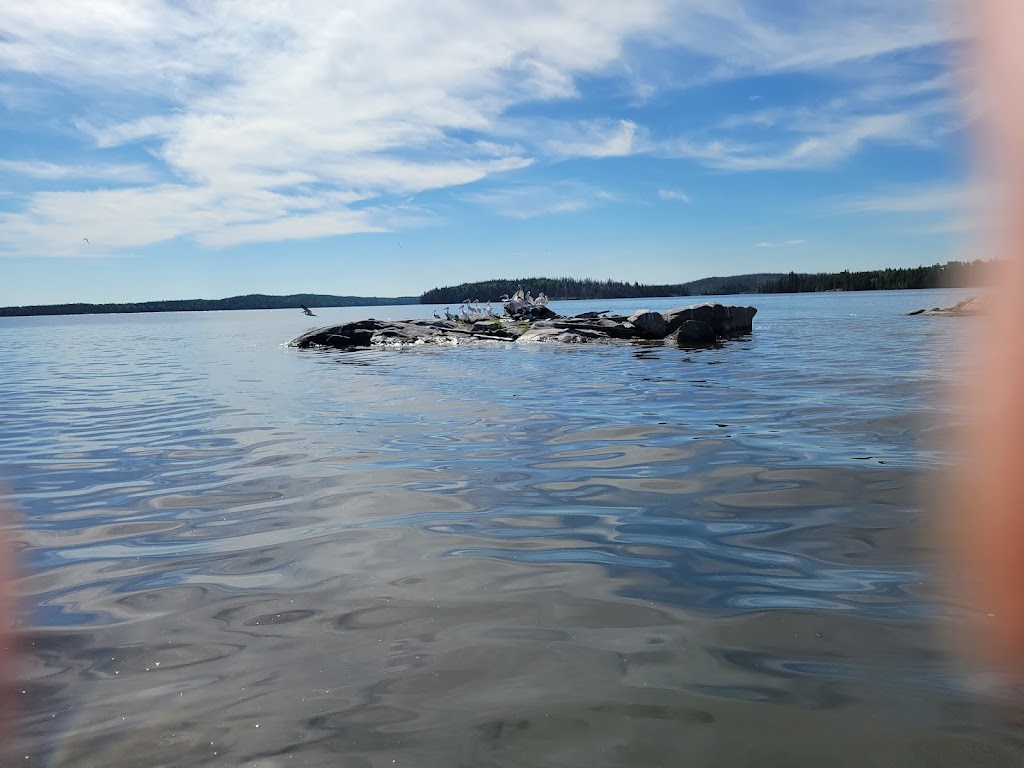 Halleys Camps One Man Lake Lodge | Minaki, ON P0X 1P0, Canada | Phone: (800) 465-3325