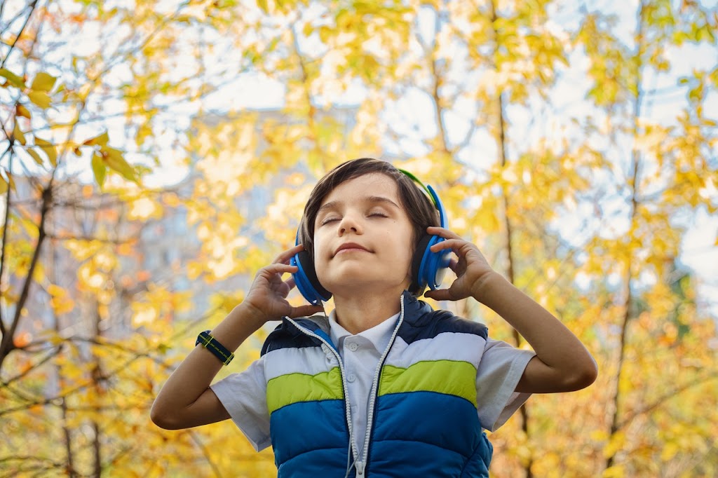 Davidson Hearing Aid Centres | 595 Pembroke St E, Pembroke, ON K8A 3L7, Canada | Phone: (613) 735-3846