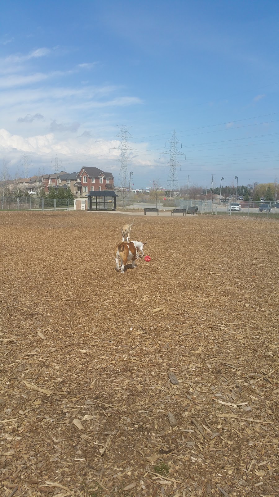Norton Leash Free Dog Park | 4613-, 4621 Cornerstone Dr, Burlington, ON L7R 3X4, Canada