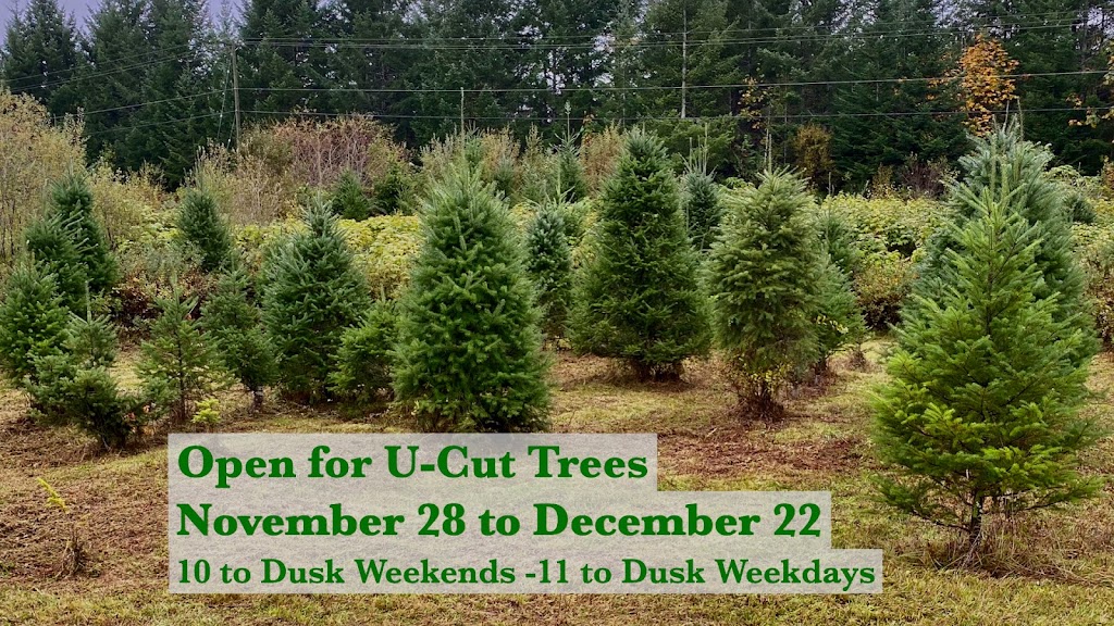 Alberni Christmas Trees | 7374 Airport Rd, Port Alberni, BC V9Y 8Y9, Canada | Phone: (403) 597-2269