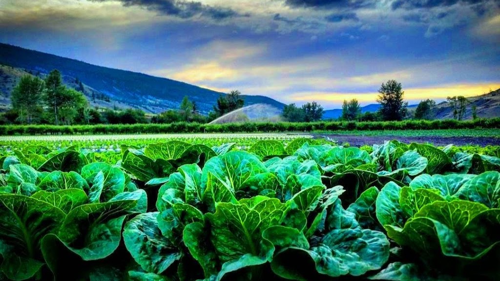 Horstings Farm Market | 2540 Cariboo Hwy #97, Cache Creek, BC V0K 1H0, Canada | Phone: (250) 457-6546