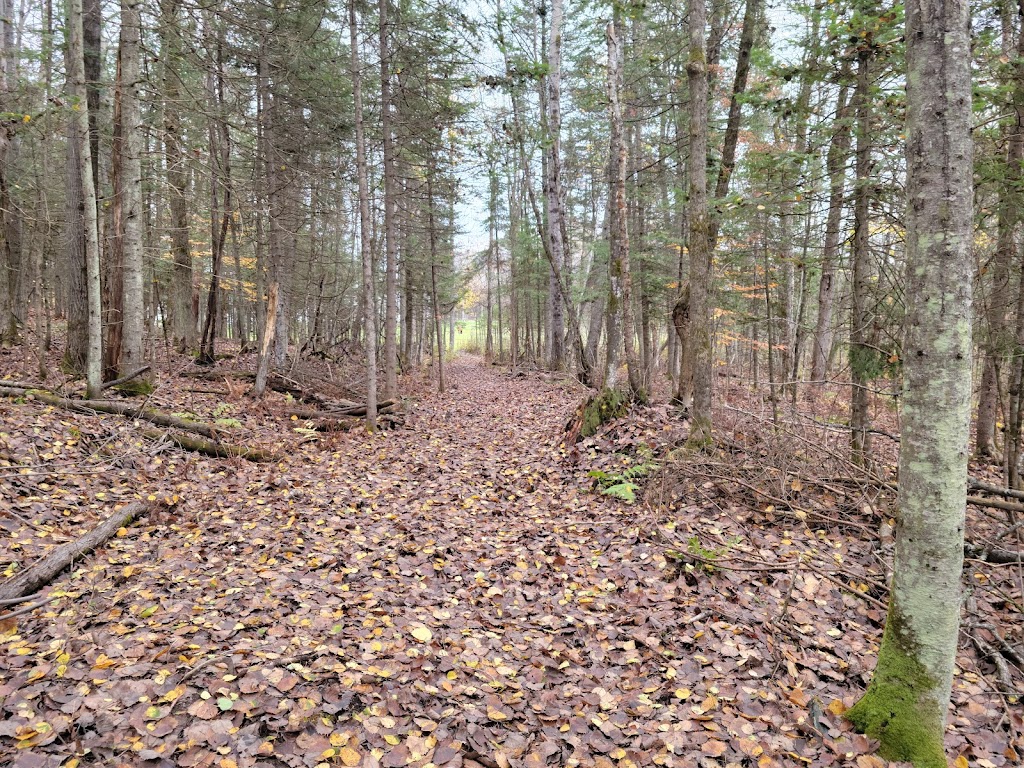 Écurie Equimoor | 73 Chem. Sauvé, Val-des-Monts, QC J8N 5A6, Canada | Phone: (613) 229-9753