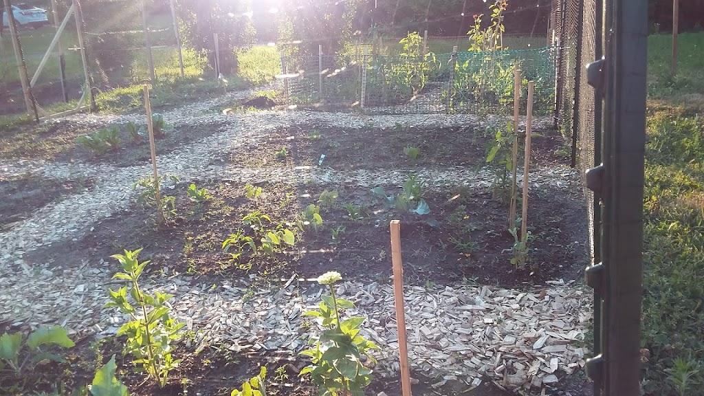 Glen Community Garden | King Edward Ave, London, ON N5Z 3A8, Canada | Phone: (519) 719-5923