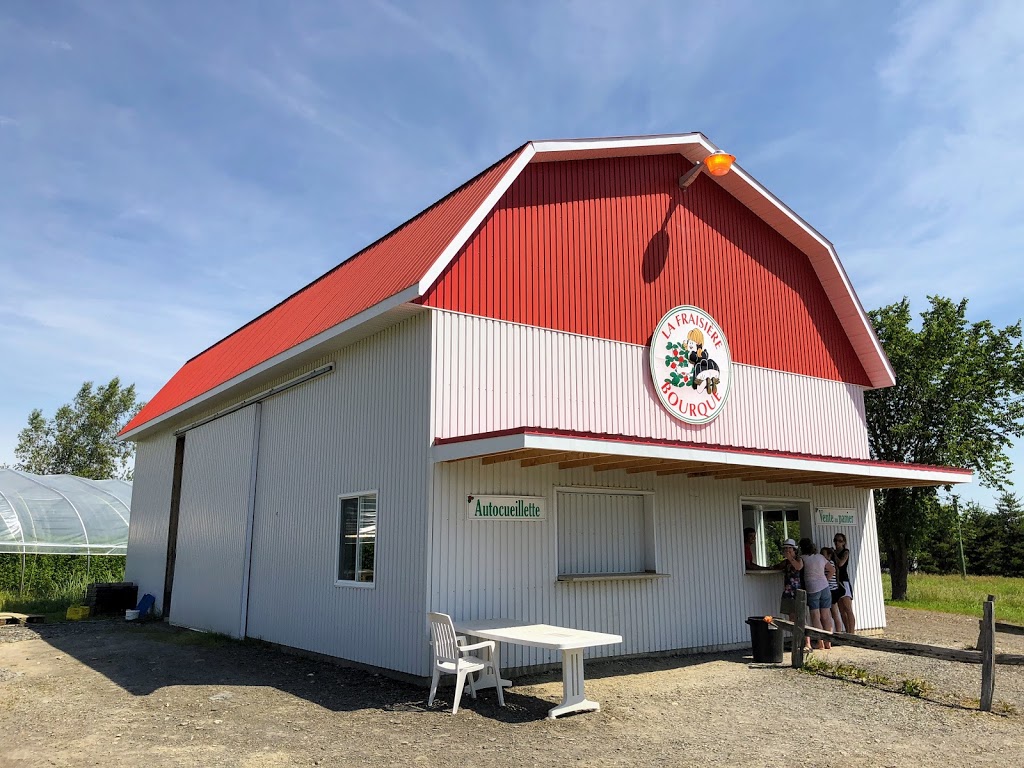 La Fraisière Bourque | 7110 6e Avenue S, Saint-Georges, QC G5Z 1N7, Canada | Phone: (418) 228-4615