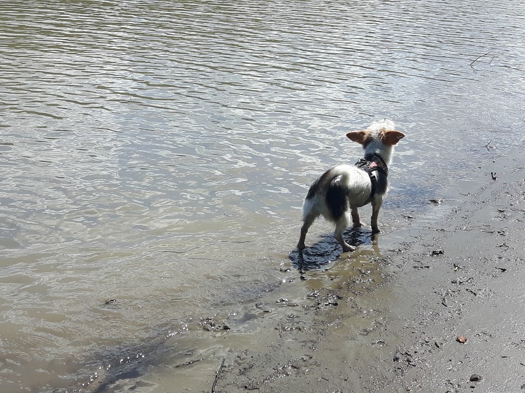 Buena Vista Dog Park | 7821-7823 131 St NW, Edmonton, AB T5R 3N3, Canada