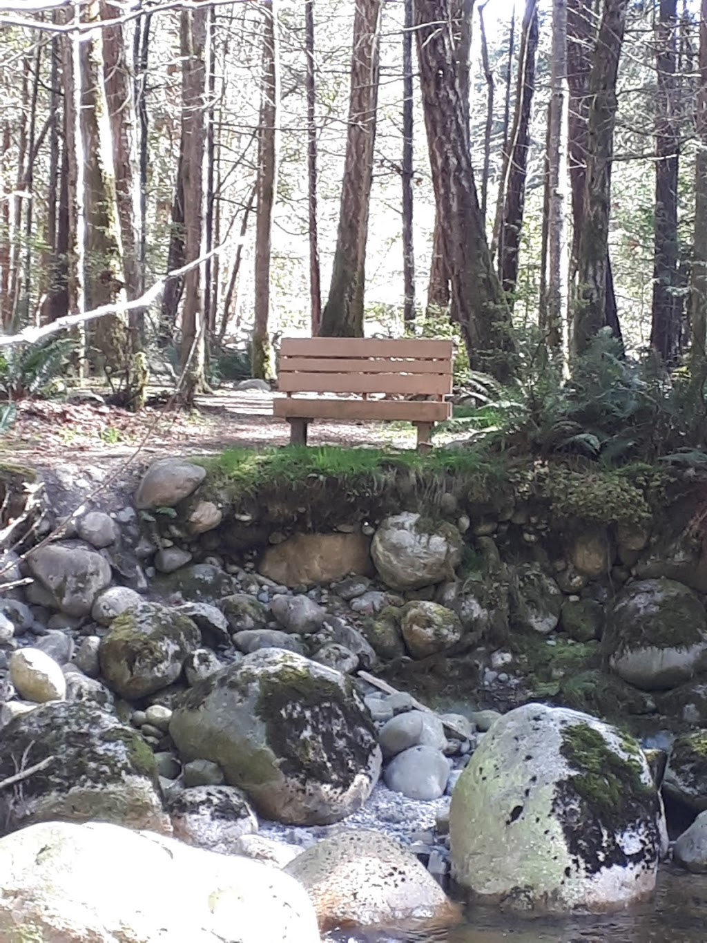Sunshine Coast Salmonid Enhancement Society | 4381 Parkway Dr, Sechelt, BC V0N 3A1, Canada | Phone: (604) 885-4136