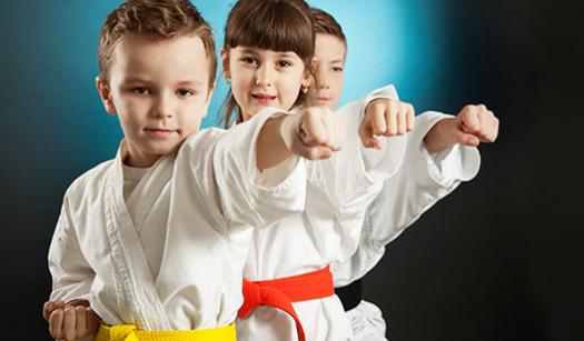 The KARATE Dojo | 211 Mill St, Angus, ON L0M 1B2, Canada | Phone: (705) 321-9177
