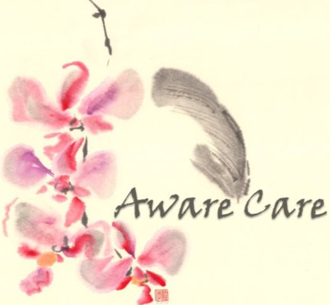 Aware Care | 405 Devil Lake Road, Rideau Lakes Township, Leeds & Grenville County, Westport, ON K0G 1X0, Canada | Phone: (613) 284-6291