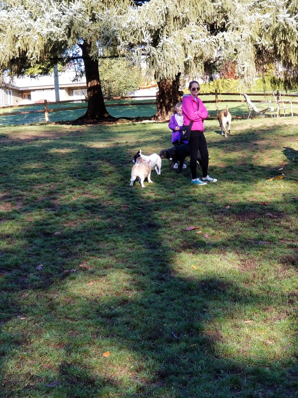 Dog Park | 33097 14 Ave, Mission, BC V2V 2P4, Canada