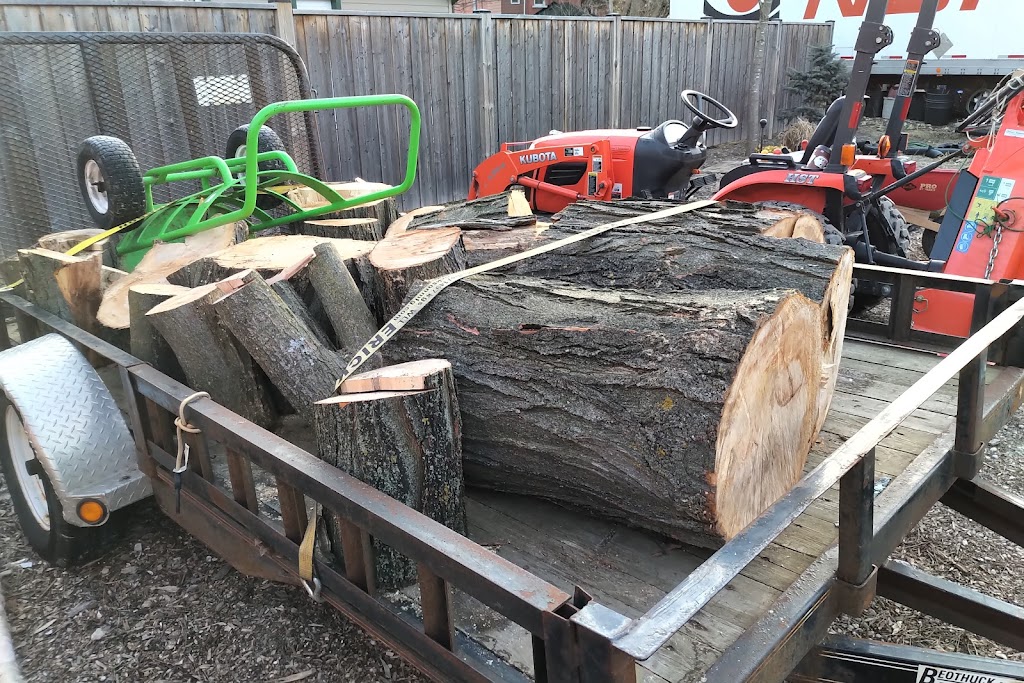 Ascents Tree Service | 8914 Adjala 10 Sideroad, Palgrave, ON L0N 1P0, Canada | Phone: (226) 500-5206