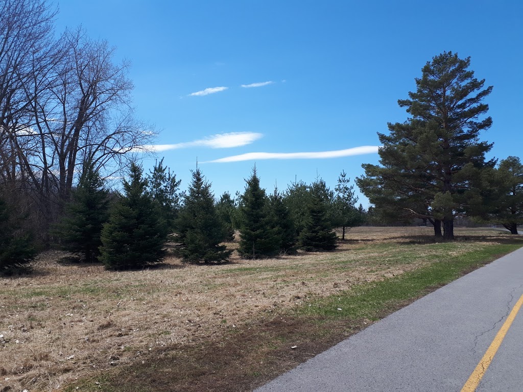 Parc Marengère | Rue Cousineau, Gatineau, QC J8T 3T4, Canada | Phone: (866) 299-2002
