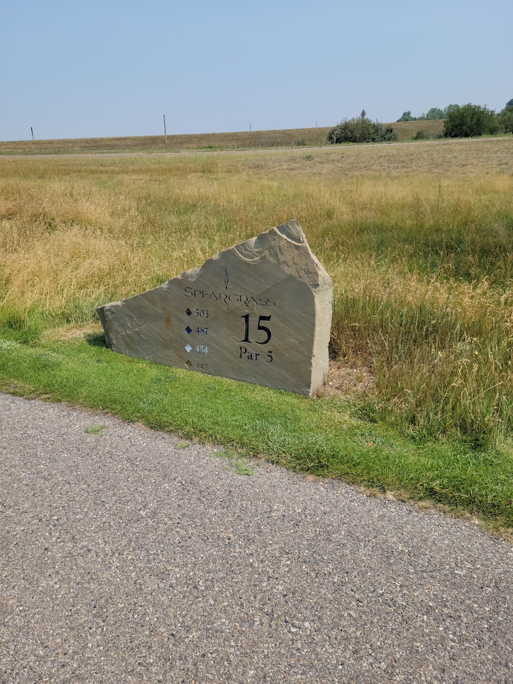 Speargrass Golf Course | 82 Speargrass Blvd, Carseland, AB T0J 0M0, Canada | Phone: (403) 901-1134