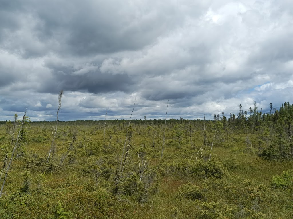 Parc national de la Pointe-Taillon | 835, Rang 3 Ouest, Saint-Henri-de-Taillon, QC G0W 2X0, Canada | Phone: (418) 347-5371
