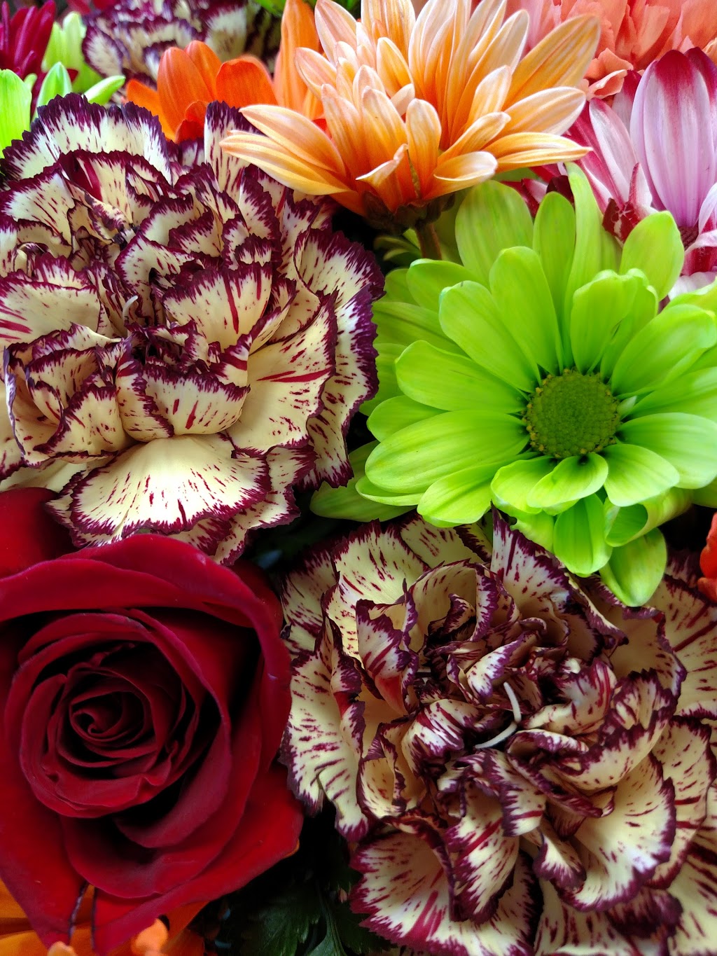 Rose Cellar Florist | 58316 Main St, New Haven, MI 48048, USA | Phone: (586) 749-7725