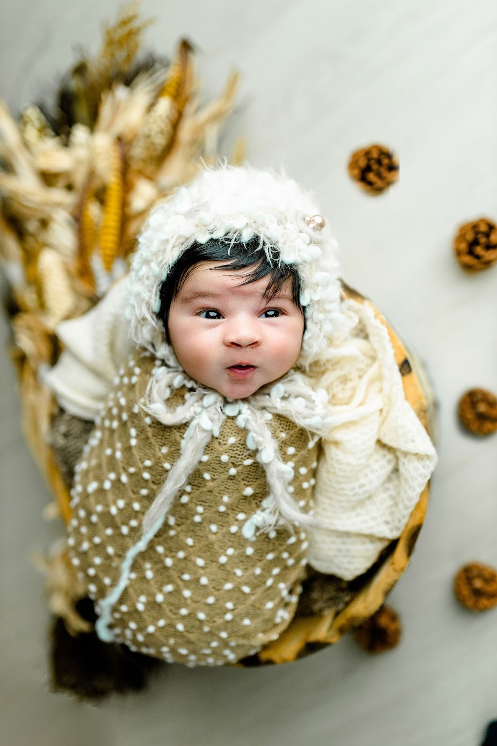 Pixel Pie Photography | 5952 186a St, Surrey, BC V3S 7Z9, Canada | Phone: (778) 558-1516