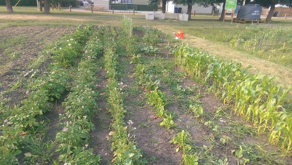 Aspen Community Garden | Aspen Dr, Blackfalds, AB T0M 0J0, Canada | Phone: (403) 885-4677