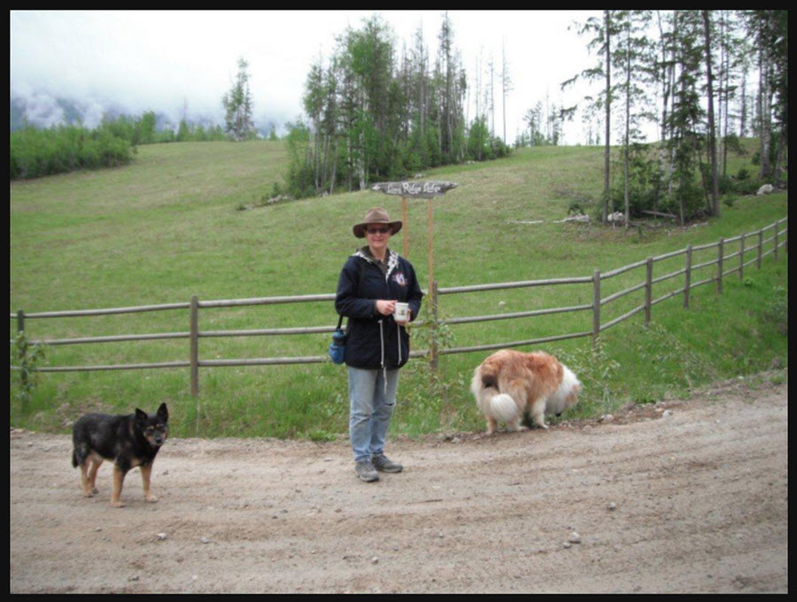 Leeann Herechuk | 1230 Ireland Rd, Seymour Arm, BC V0E 2V2, Canada | Phone: (250) 804-6818
