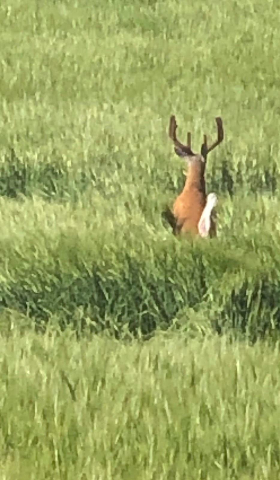 Otter Creek Outfitters | 551 4th St E, Spiritwood, SK S0J 2M0, Canada | Phone: (306) 883-7586