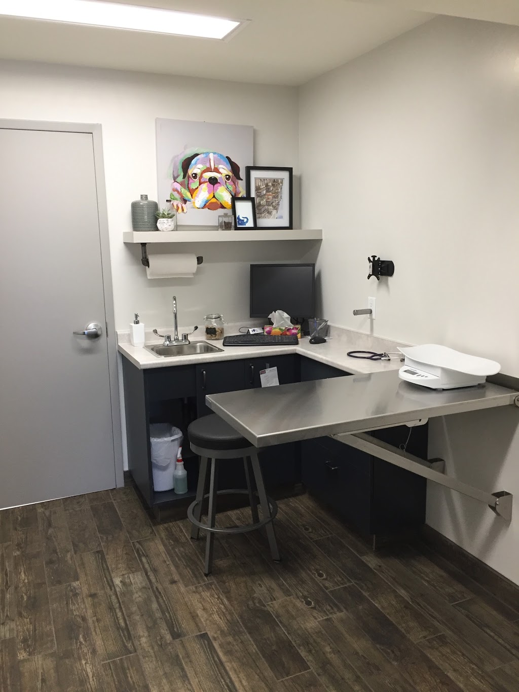Blue Cross Animal Hospital | 612 King St W, Hamilton, ON L8P 1C2, Canada | Phone: (905) 522-6879