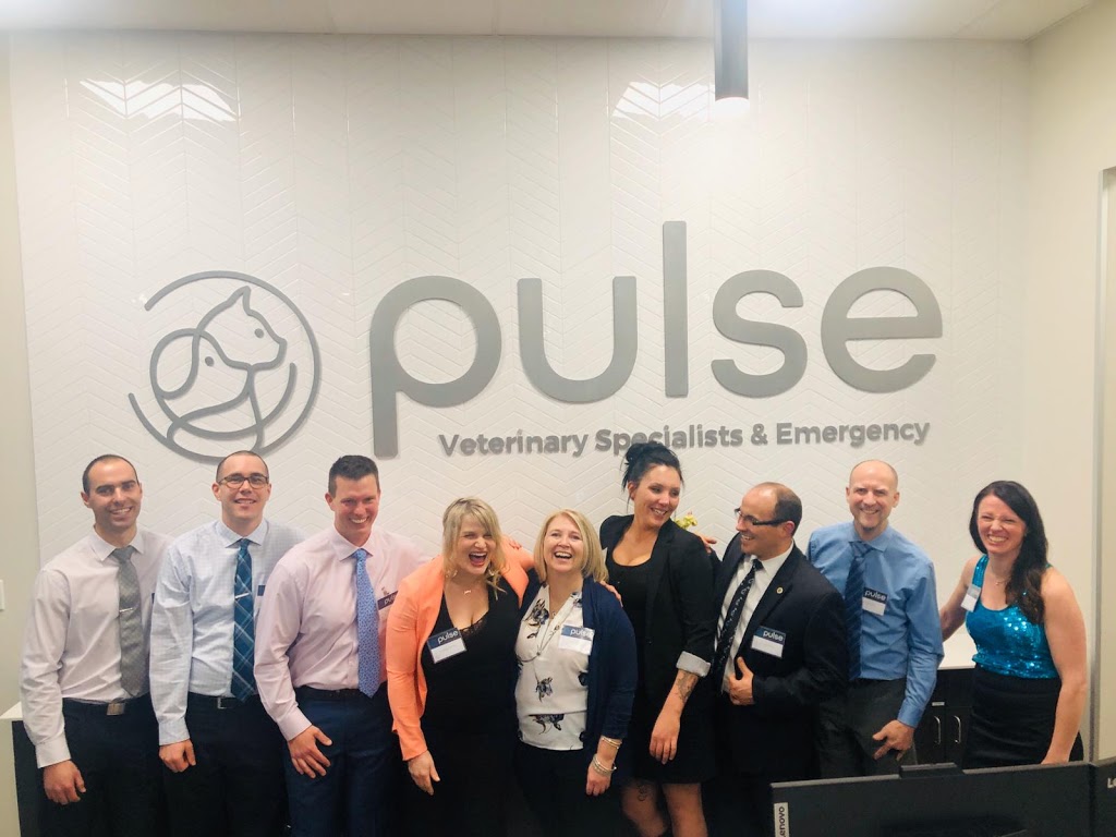 Pulse Veterinary Specialists & Emergency | 450 Ordze Rd #320, Sherwood Park, AB T8B 0C5, Canada | Phone: (780) 570-9999