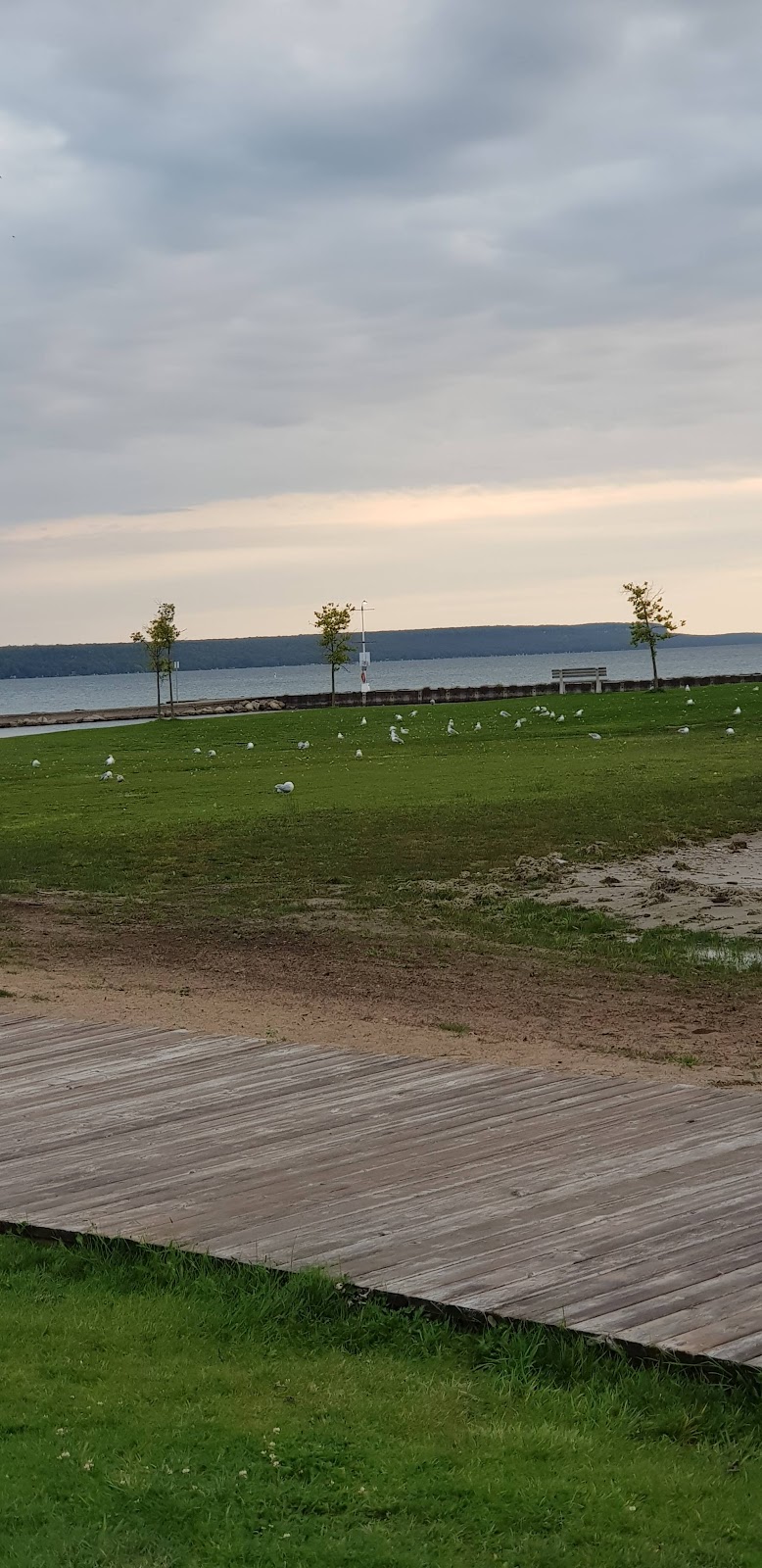 Wiarton Arena & Community Centre | 526 Taylor St, Wiarton, ON N0H 2T0, Canada | Phone: (519) 534-1400
