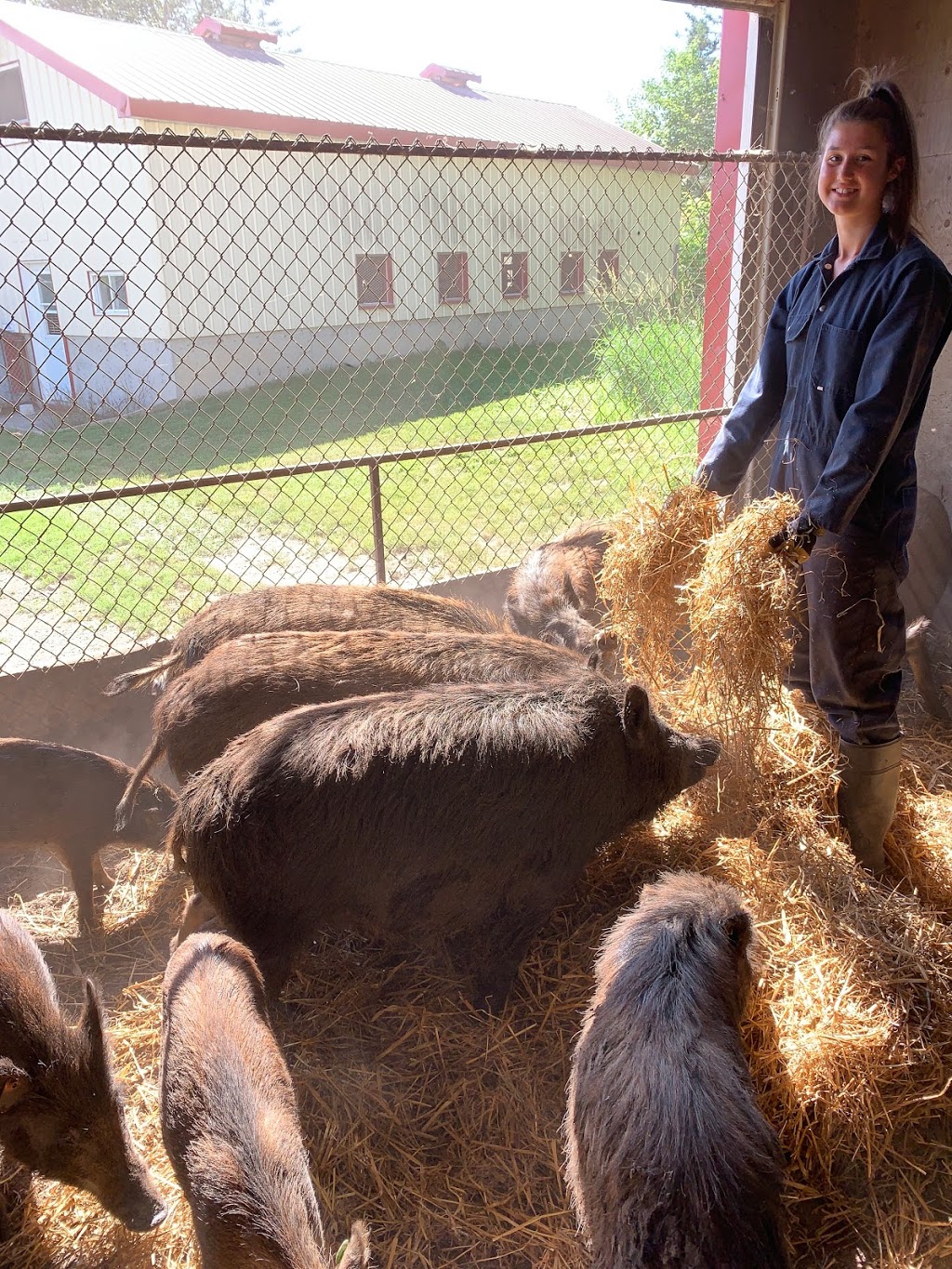 Ferme Sanglier des Bois | 440 Rang Petit Capsa, Saint-Augustin-de-Desmaures, QC G3A 1W8, Canada | Phone: (418) 878-0010