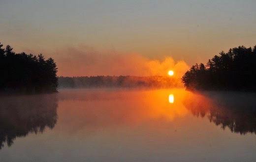 Royal LePage Lakes Of Muskoka Brokerage Jon Osborne Real Estate  | 1100 Muskoka Rd S, Gravenhurst, ON P1P 1K9, Canada | Phone: (705) 706-1309