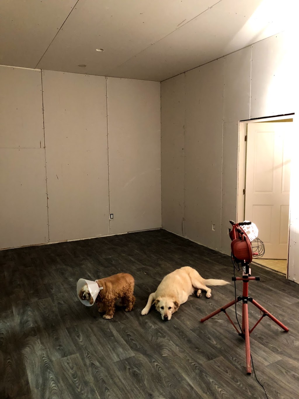 Skinny Dippers Pet Salon | 1941 Lake Whatcom Blvd, Bellingham, WA 98229, USA | Phone: (360) 393-4933