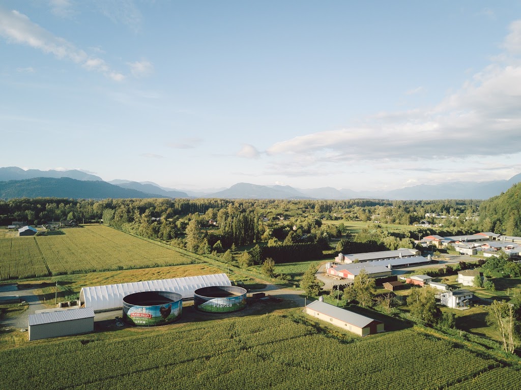 Fraser Valley Specialty Poultry | 4540 Simmons Rd, Chilliwack, BC V2R 4R7, Canada | Phone: (604) 823-4435