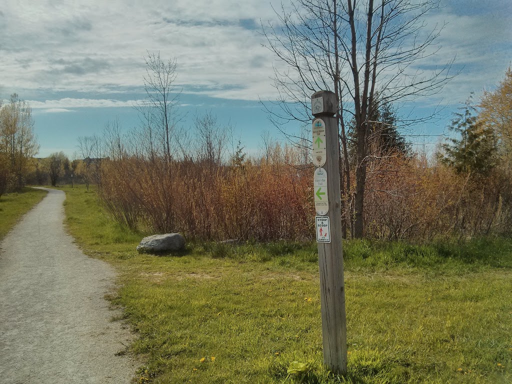 Whites Bay Park | 2 Balsam St, Collingwood, ON L9Y 5C4, Canada