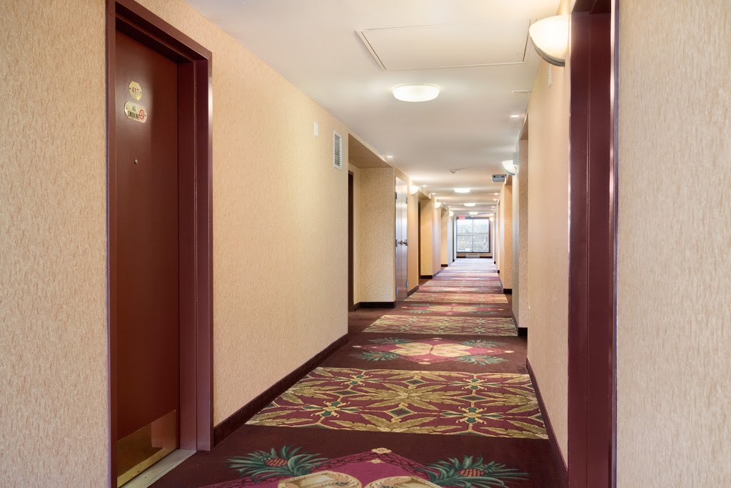 Days Inn & Suites by Wyndham Langley | 20250 Logan Ave, Langley City, BC V3A 4L6, Canada | Phone: (604) 539-0100