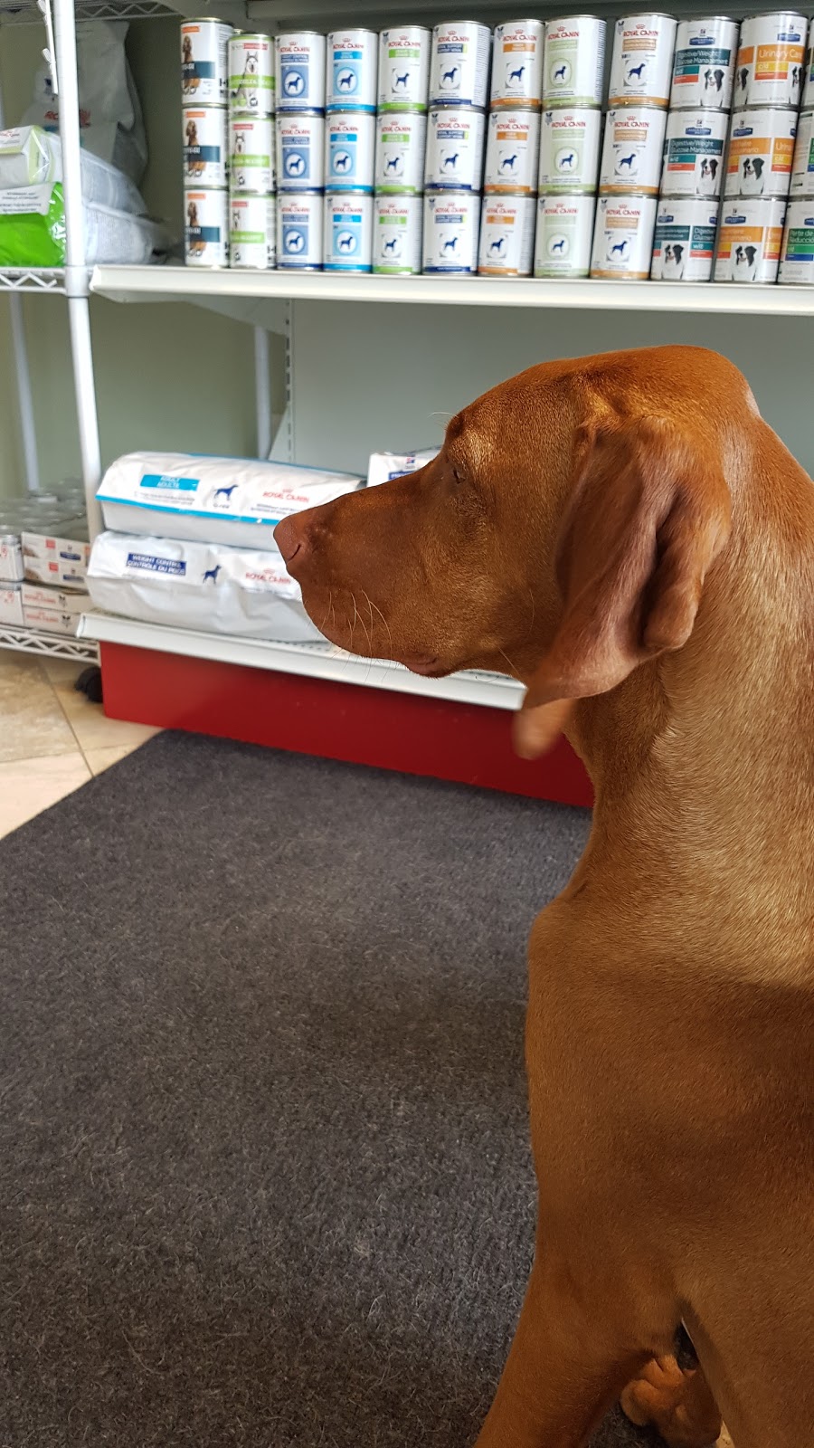 Highland Creek Animal Clinic | 6105 Kingston Rd, Scarborough, ON M1C 1K5, Canada | Phone: (416) 282-9697