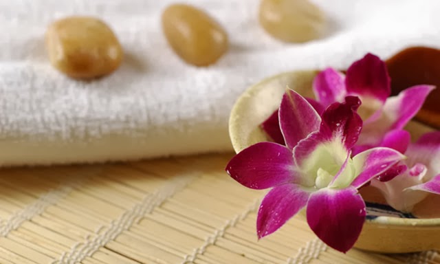Lisas Beauty Essence | 11 Wild Iris Walk, Winnipeg, MB R3X 0J9, Canada | Phone: (204) 227-9298
