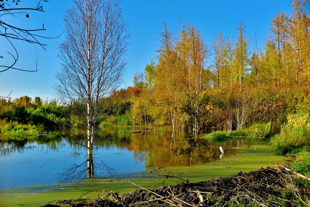 Moss lake trailhead #4 | Improvement District No. 13, AB T0B 2R0, Canada | Phone: (780) 922-5790