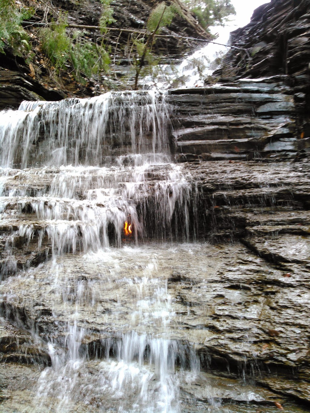 Chestnut Ridge Park | 6121 Chestnut Ridge Rd, Orchard Park, NY 14127, USA | Phone: (716) 662-3290