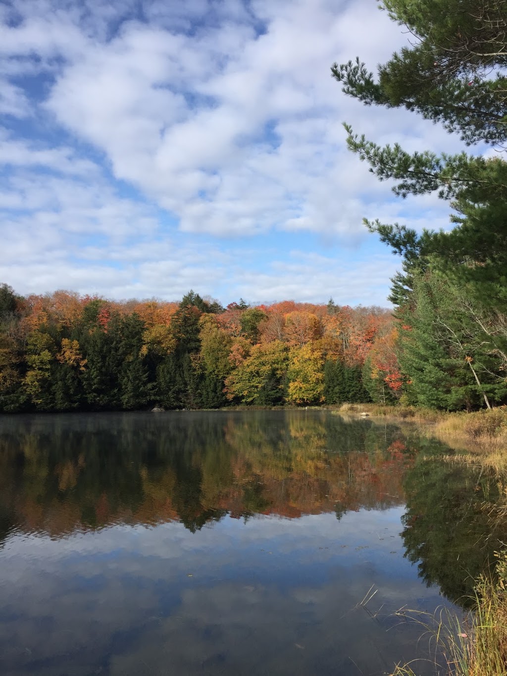 Mayflower Lake Trail | Huntsville, ON P1H 2J4, Canada | Phone: (705) 789-5105