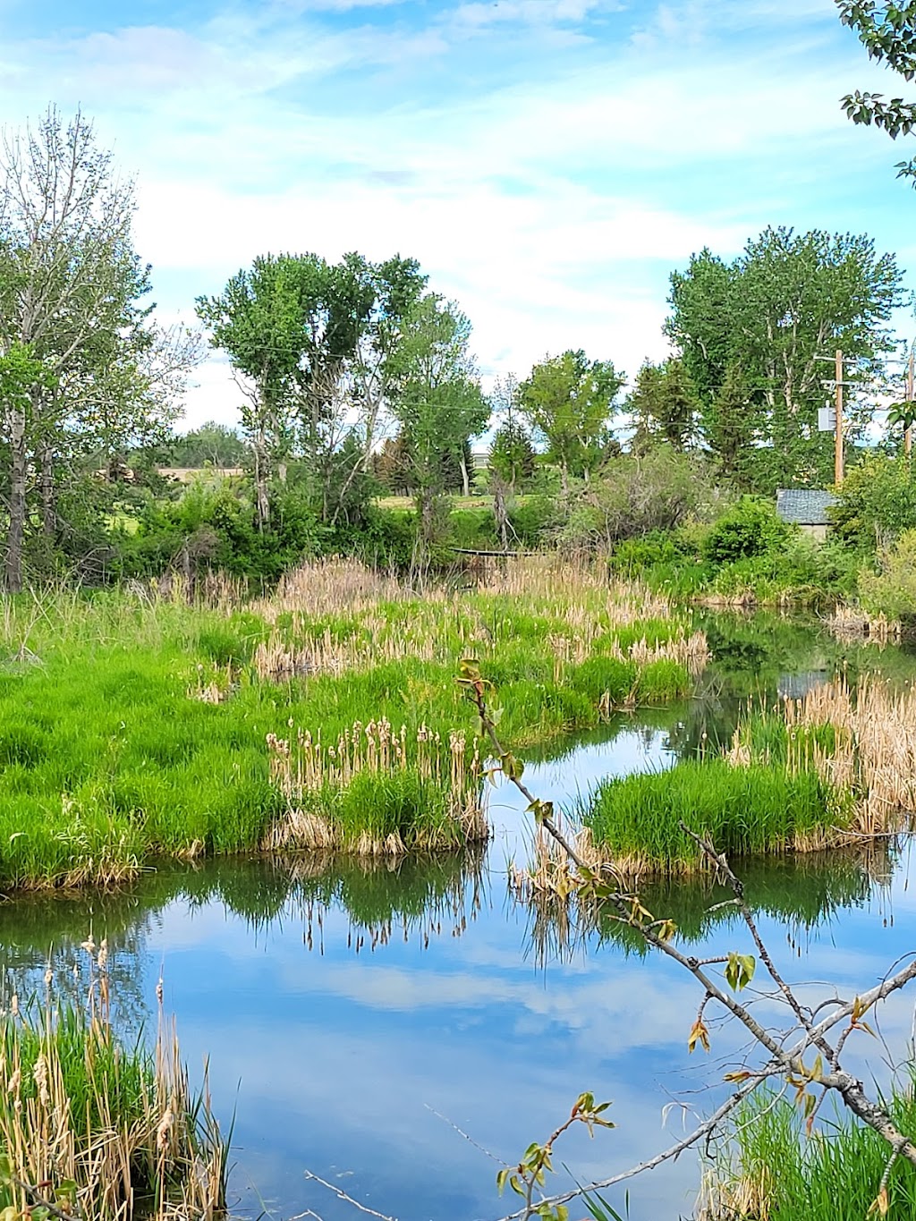 Magrath Golf Club | Township Rd 53A, Magrath, AB T0K 1J0, Canada | Phone: (403) 758-3054