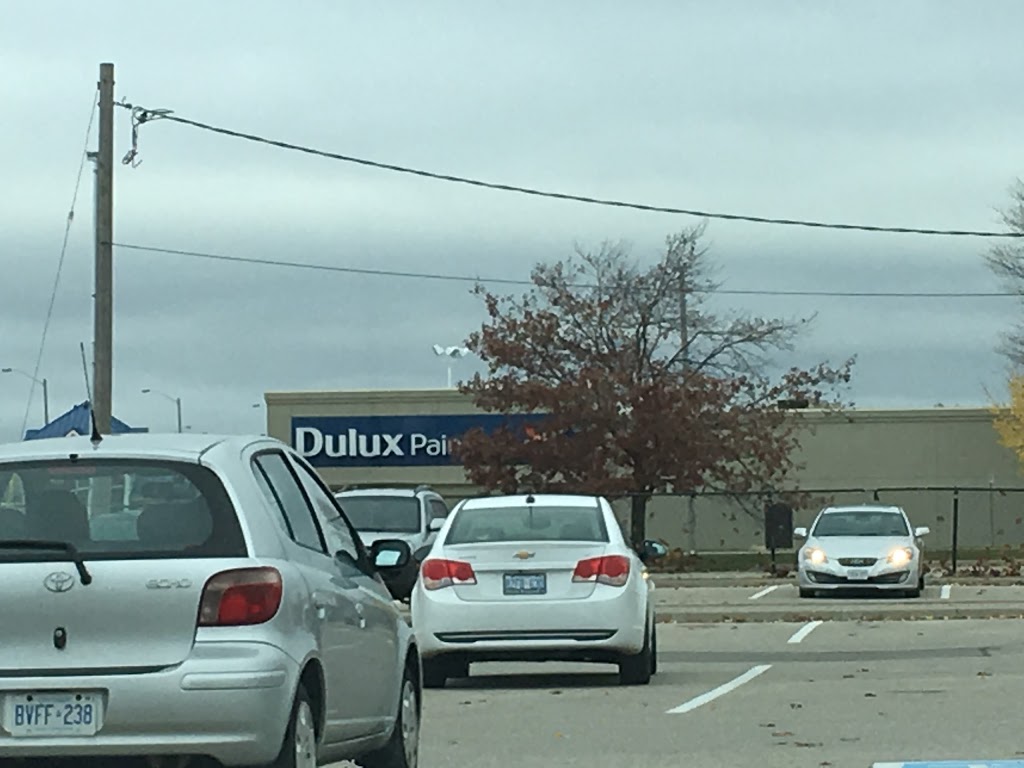 Dulux Paints | 551 Hespeler Rd, Cambridge, ON N1R 6J3, Canada | Phone: (519) 621-8079