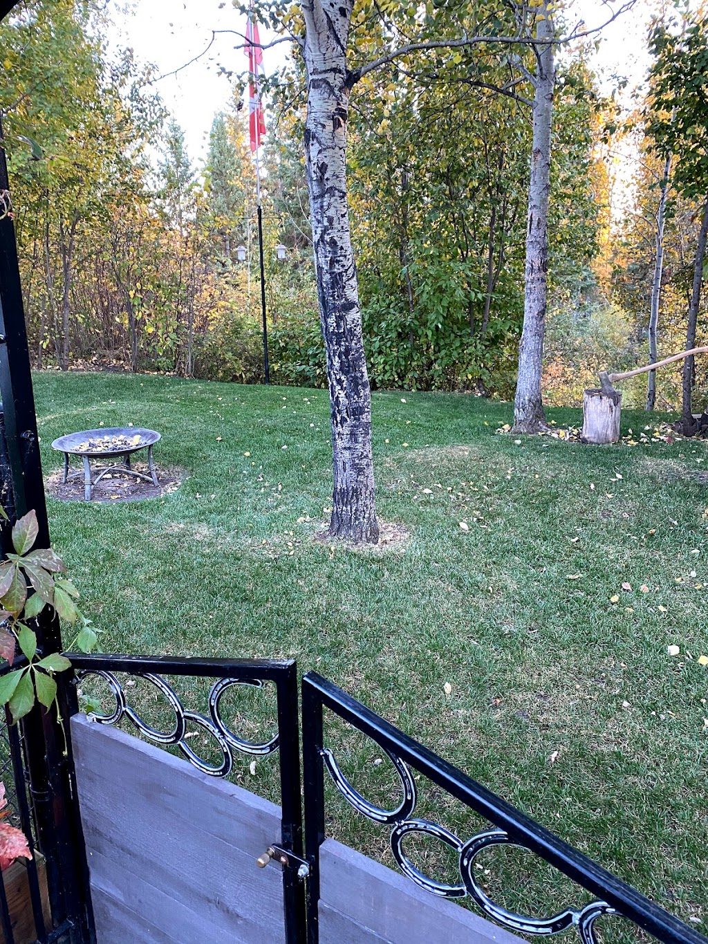 Tri Star Irrigation and Landscape | #7 26123, Township Rd 511 #7, Spruce Grove, AB T7Y 1B9, Canada | Phone: (780) 951-0990