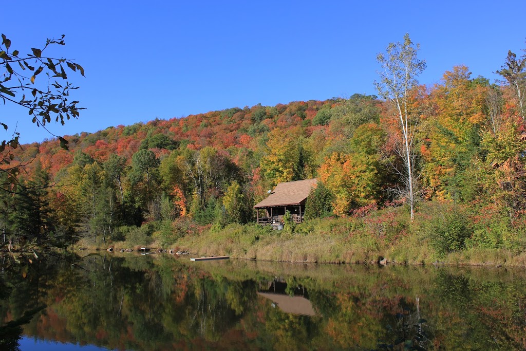 Chalet Petit Ours Noir | 7059 rue du pionnier, Wentworth-Nord, QC J0T 1Y0, Canada | Phone: (514) 616-0603