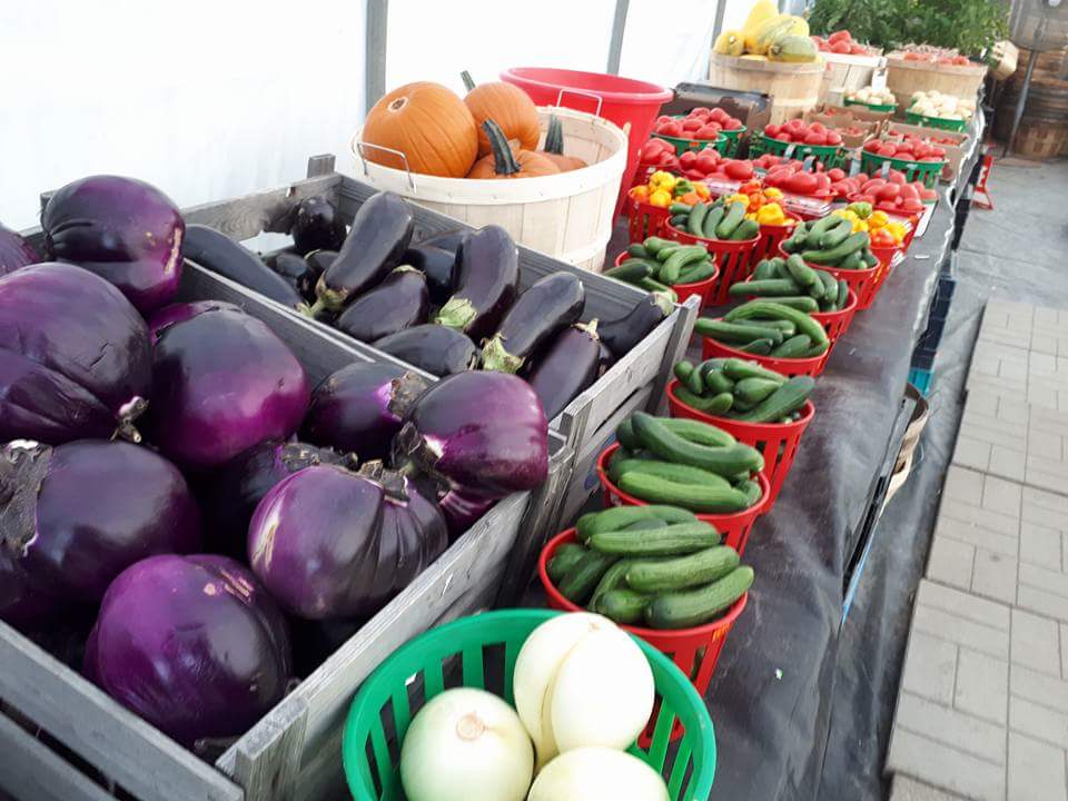 Kennedy garden center and growers of caledon | 13540 KennedyRoad South, Inglewood, ON L7C 2G2, Canada | Phone: (416) 567-7066