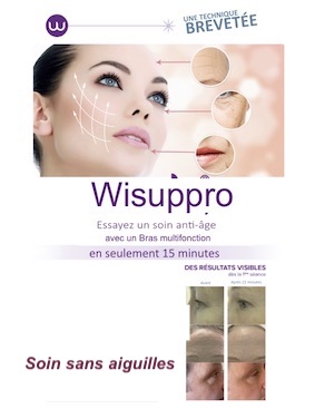 wishuppro | 620 Boulevard Sir Wilfrid Laurier apt 217, Mont-Saint-Hilaire, QC J3H 4X6, Canada | Phone: (514) 292-2126