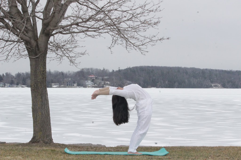 Vir Yoga and Vedic Diet | 224 Rogers St, Peterborough, ON K9H 1W3, Canada | Phone: (249) 688-0204